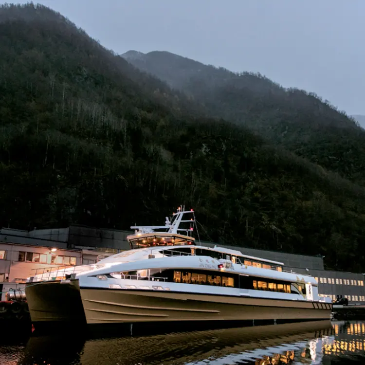 270Pax 40.8m Carbon Fiber Power Catamaran Water Taxi Water Bus Fast Speed Tourist Ferry Boat Passenger Ship for Sale