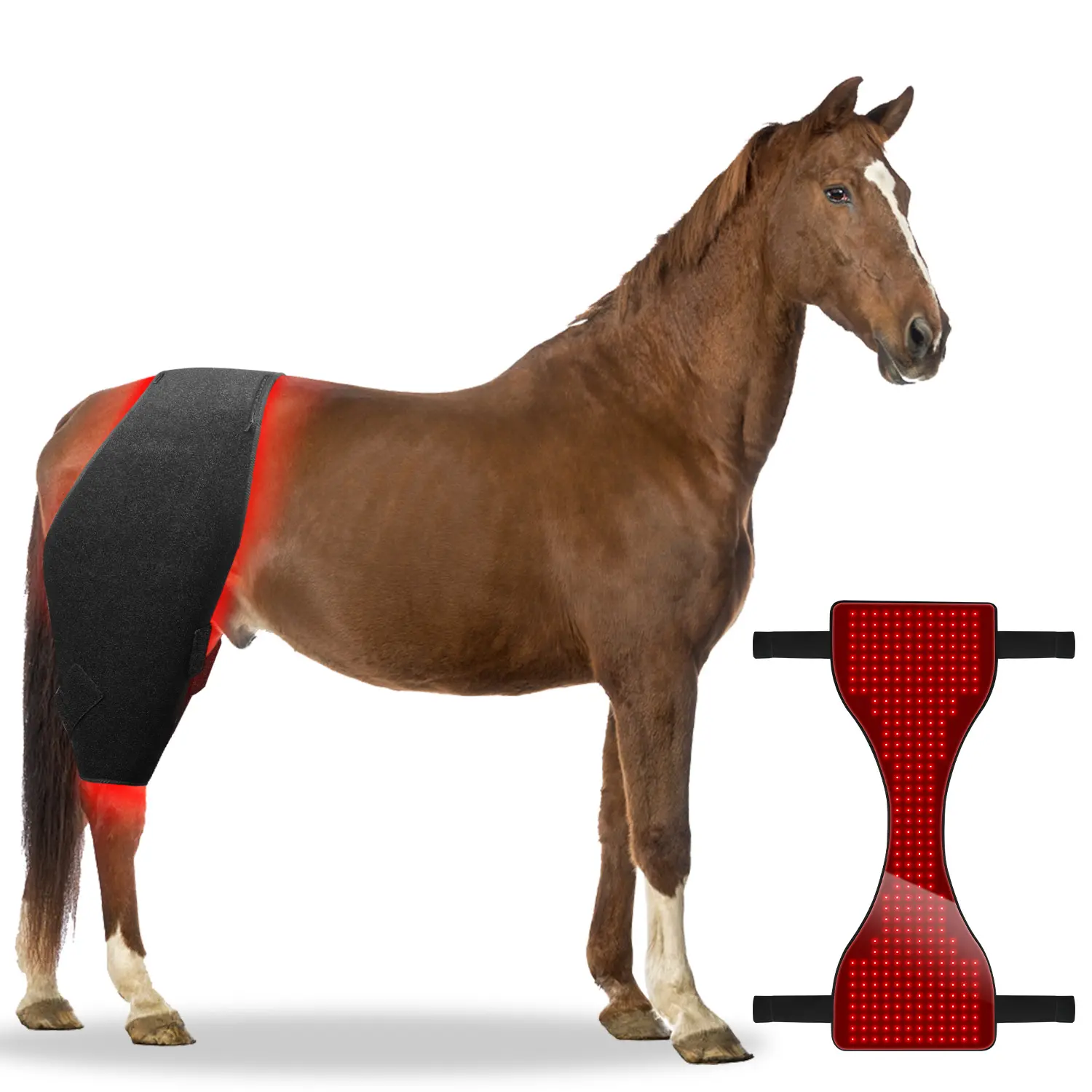 certifiedEquine 660nm 850nm Red Light Therapy Blanket Battery Powered Horse Pony Pair of Stifle Wraps for Equine Belly TherapyReorder rate 26%