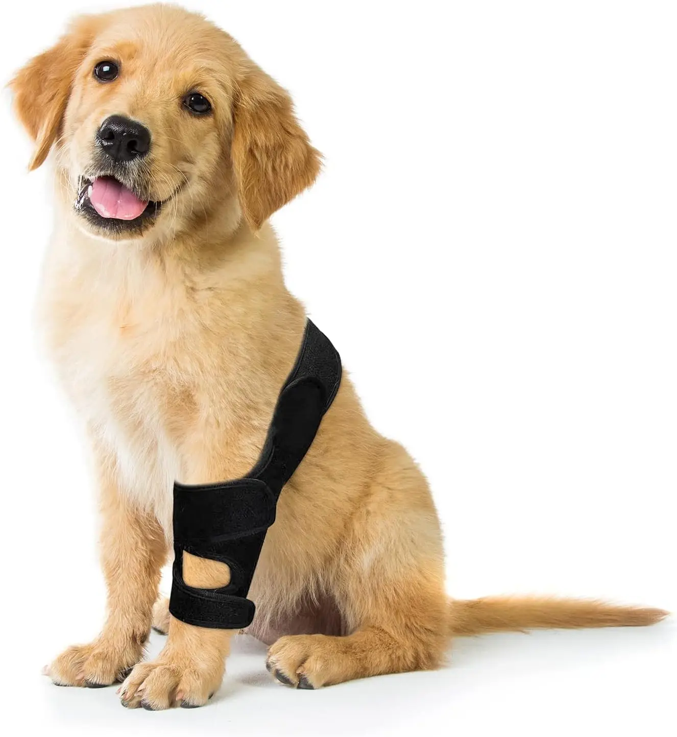 Dog Knee Brace Metal Supported Dog Leg Braces for Back Leg - Knee Brace for to Keep the Knee Joint WarmReorder rate 16%