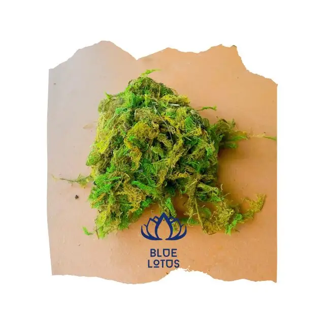 High Quality Best Seller Planting Product Dried Forest Green Moss Vietnam Planting Orchid