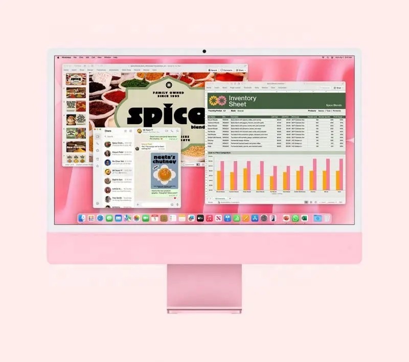 MAC OS Programming & Development Software for Home Business with Lifetime Use Online Internet Key Bind Your Own Email-in StockReorder rate 20%