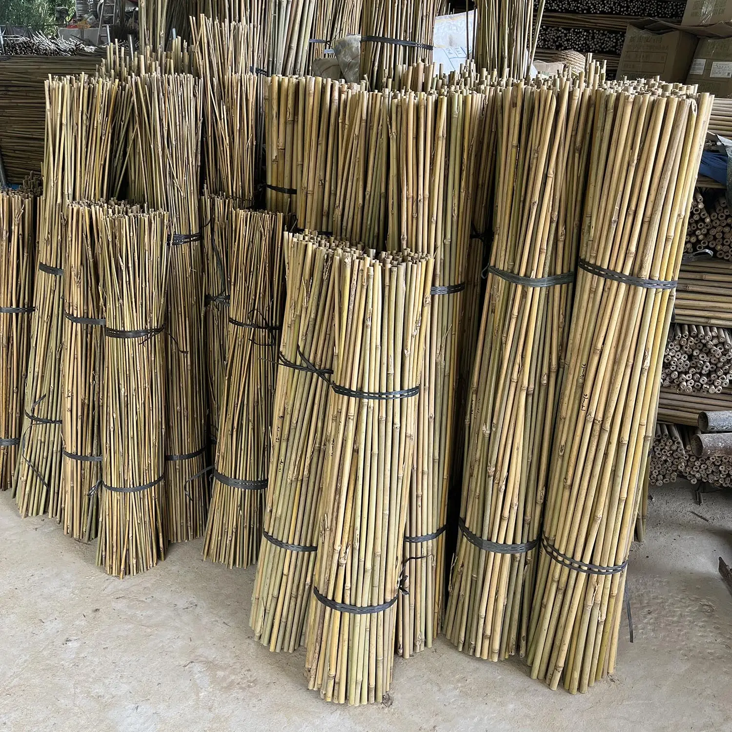 Natural Bamboo Canes & Poles Tonkin Bamboo Stake 120cm Outdoor All-Season SupportReorder rate 33%