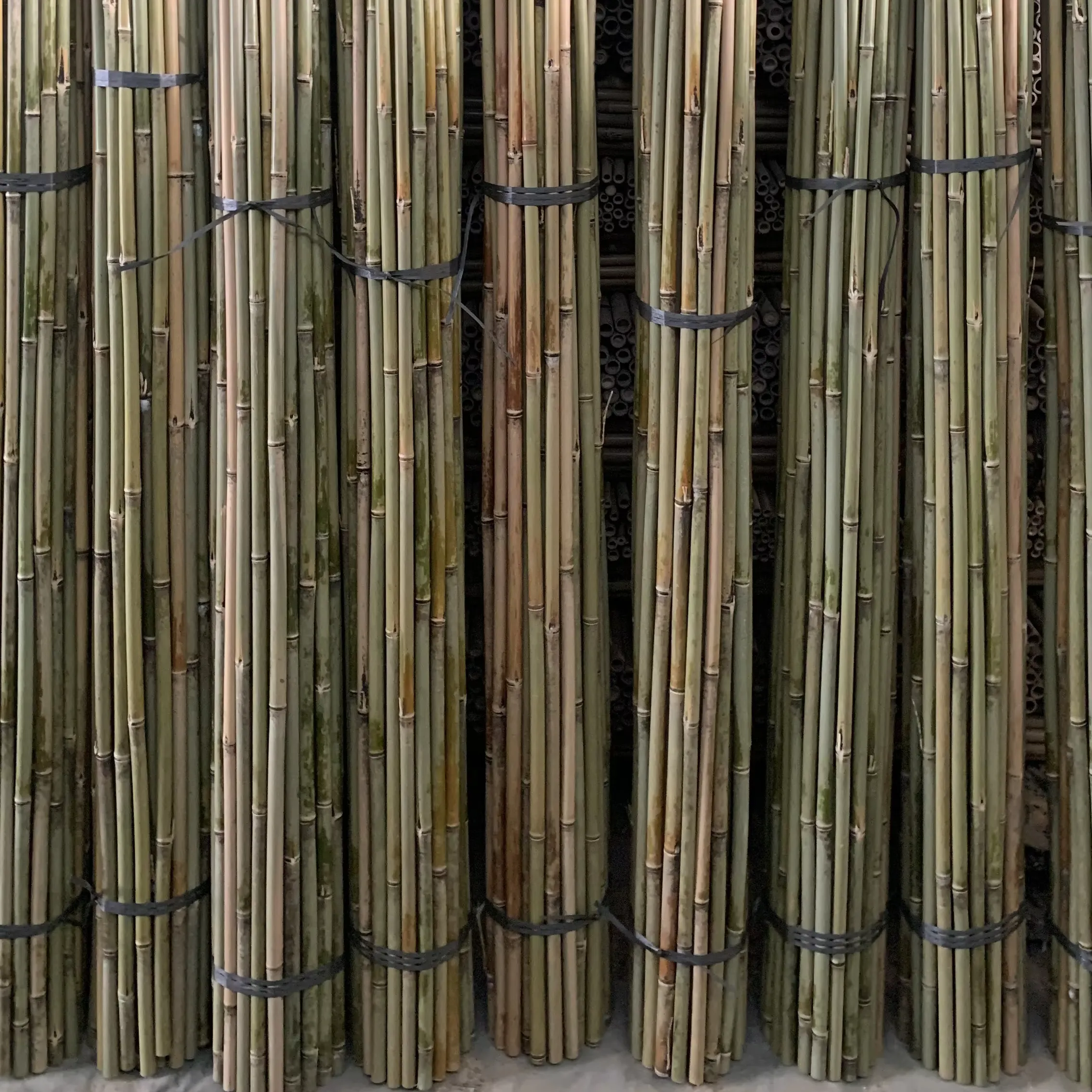 Raising Tonkin Bamboo Cane Standard Level Simple All-Season Natural Outdoor Bamboo Poles For Climbing Plants SupportReorder rate 33%