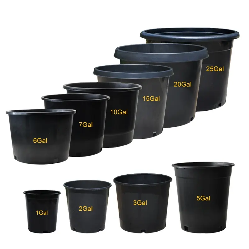 Ronbo Sunrise Wholesale Black Gallon Greenhouse Garden Plastic Seeding Nursery Orchid PotsReorder rate 15%