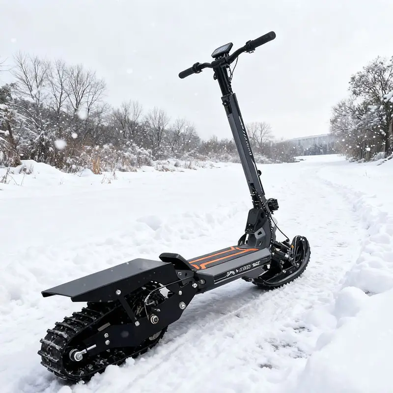 3 in 1 Electric Snow Scooter for Adults High Quality 800w 11inch Wheels Electronic Smart Type for Snowboarding