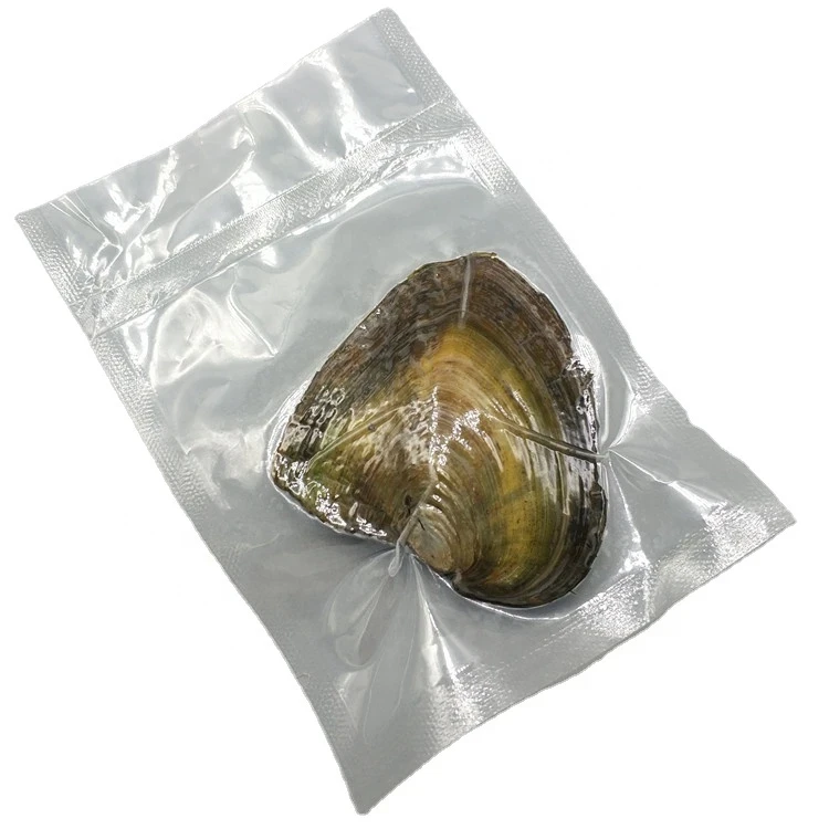 Oyster