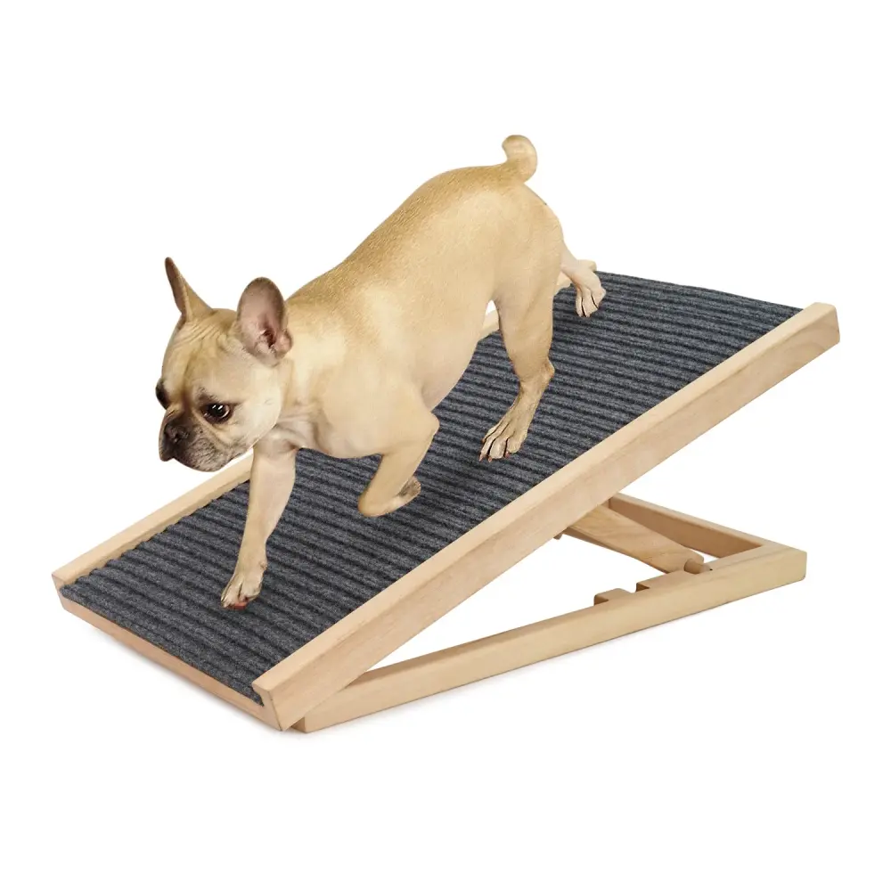 Dog Ramp