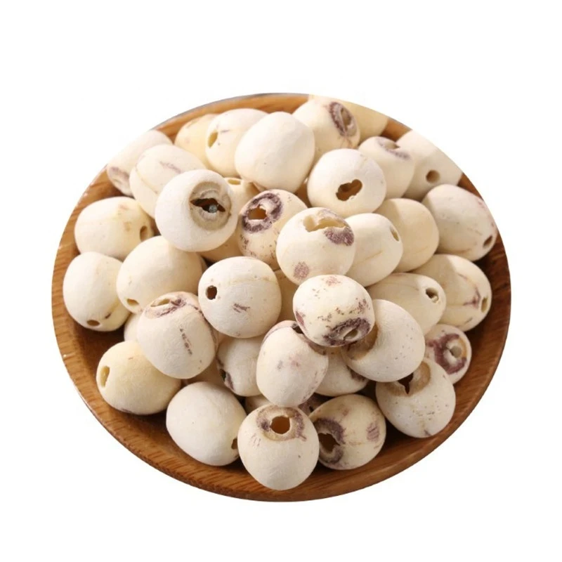 Orchid Seeds