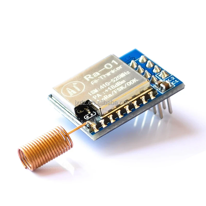 Lora Module