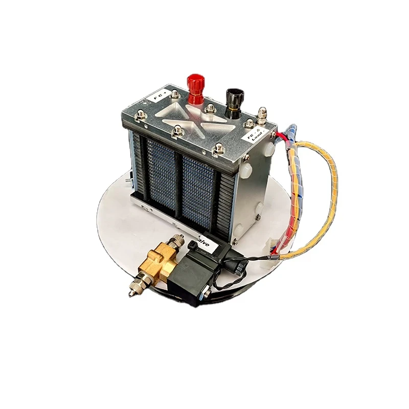 Hydrogen Fuel Cell