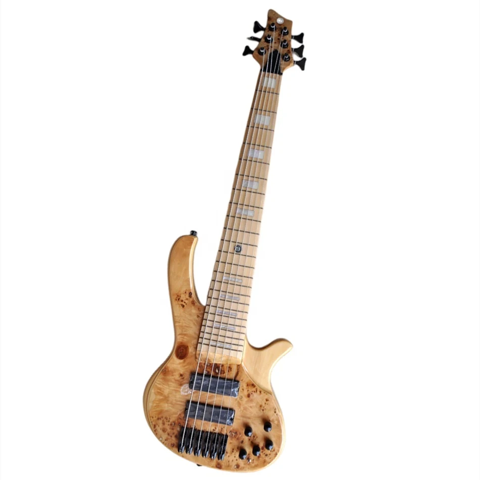 Acoustic Bass Guitar