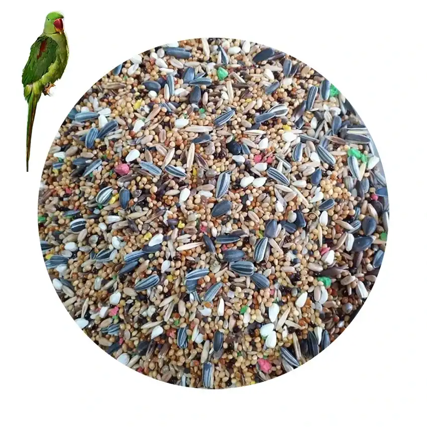 Bird Food