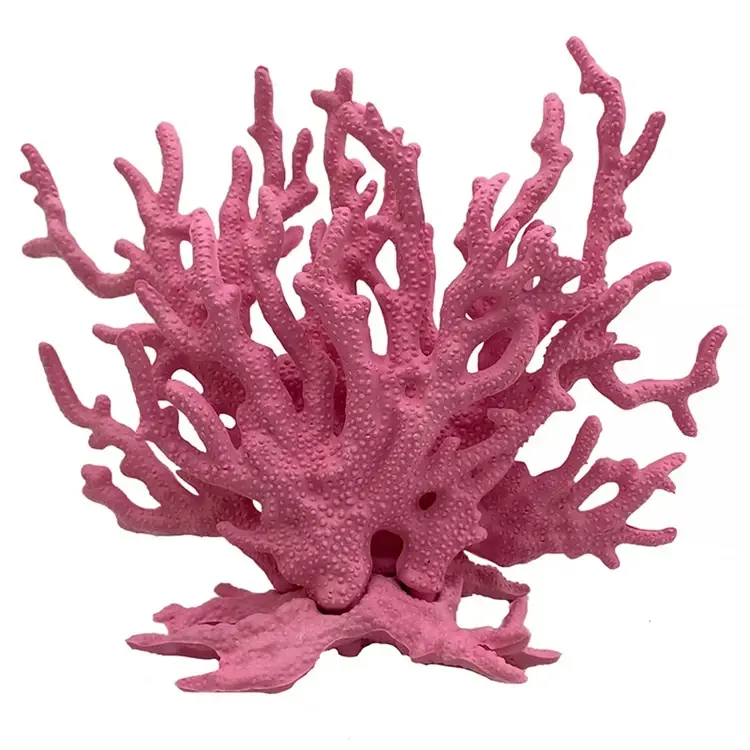 Coral
